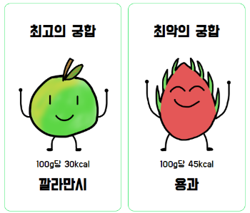 열대과일 MBTI 테스트 결과