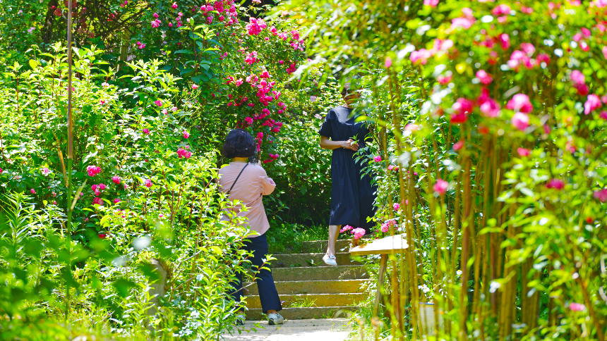 특색있고 아름다운 민간 정원 30선 추천 여행 - 22. 담양 죽화경