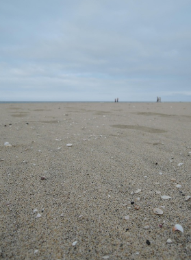 충남 보령 무창포해수욕장