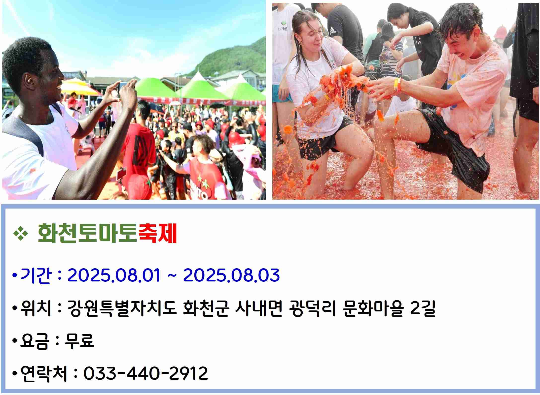 화천토마토축제