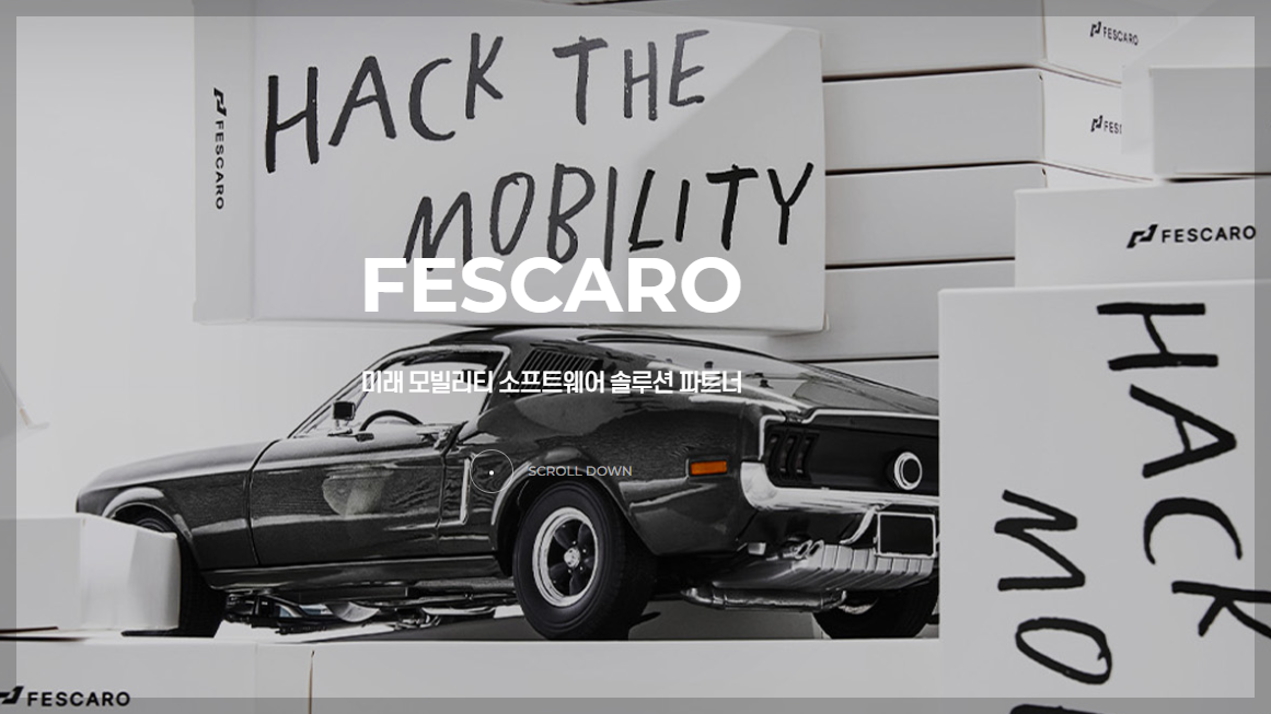 자동차 보안기업 Fescaro