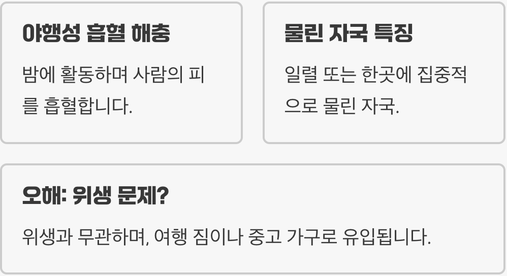 모기가 아니에요, 이 녀석의 정체는