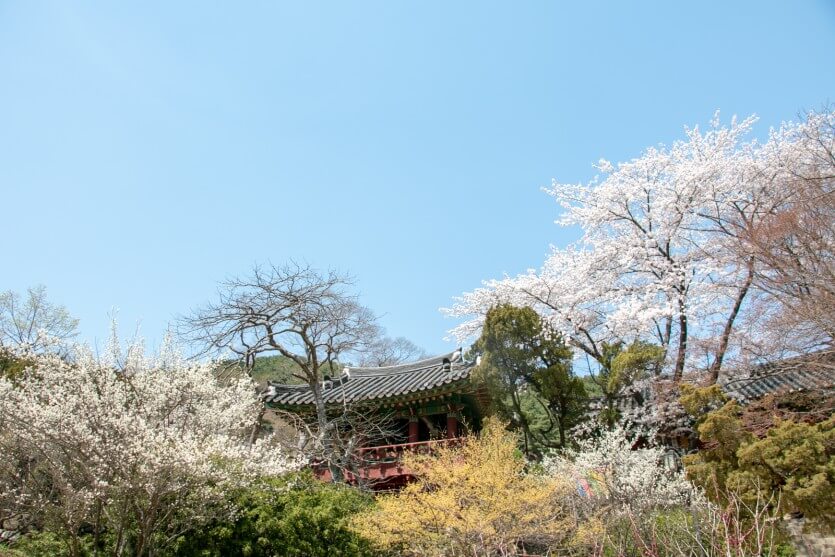 전등사 템플스테이