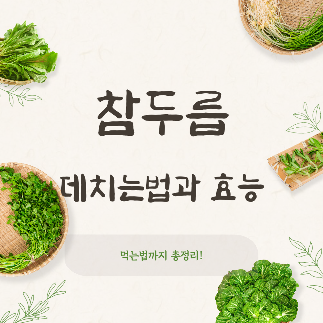 참두릅 데치는법과 효능, 땅두릅·개두릅 차이까지 정리