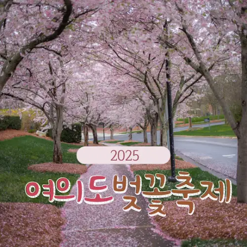 2025 여의도 벚꽃축제