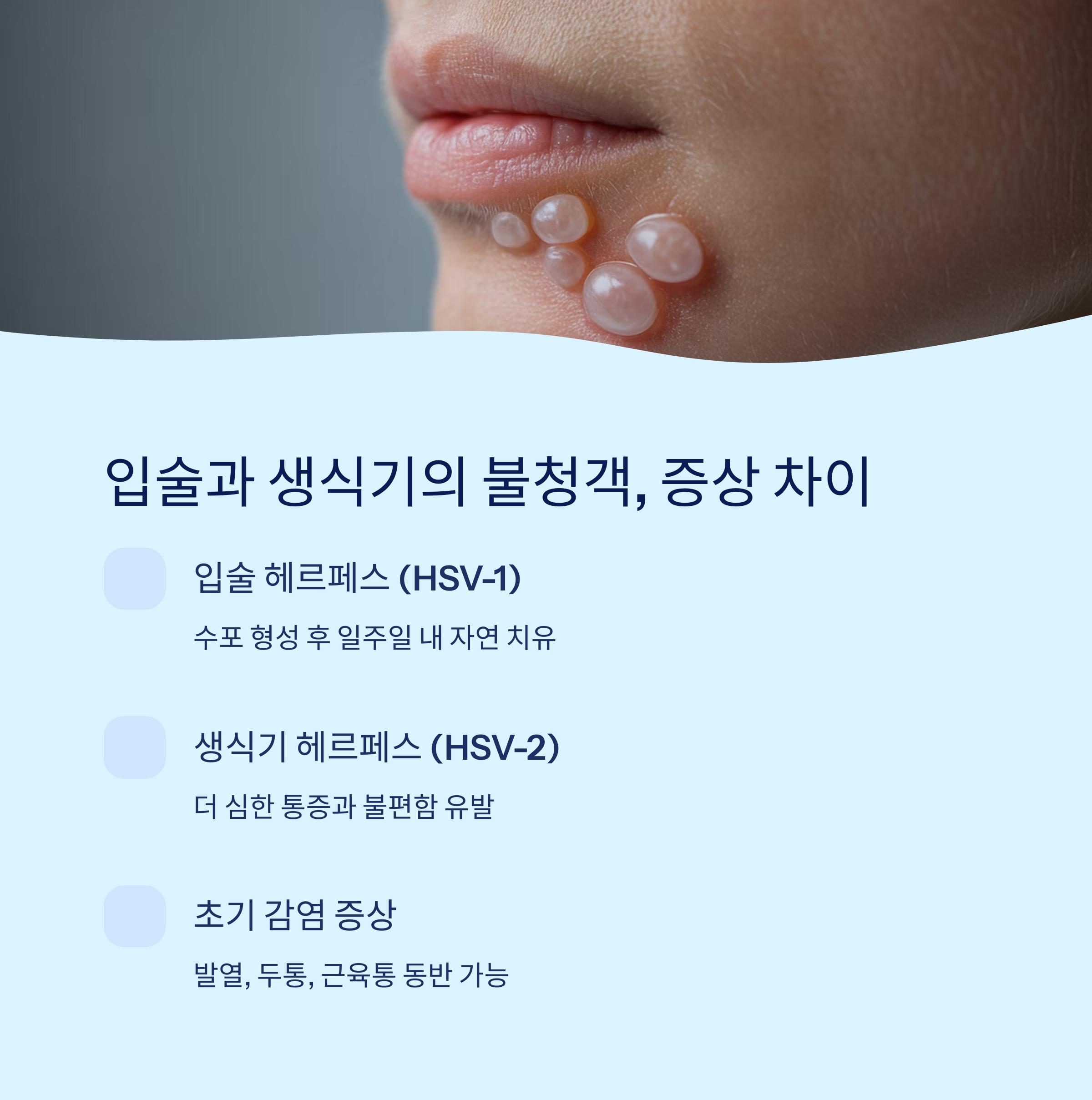 입술과 생식기 주변의 불청객, 증상은 어떻게 다를까?