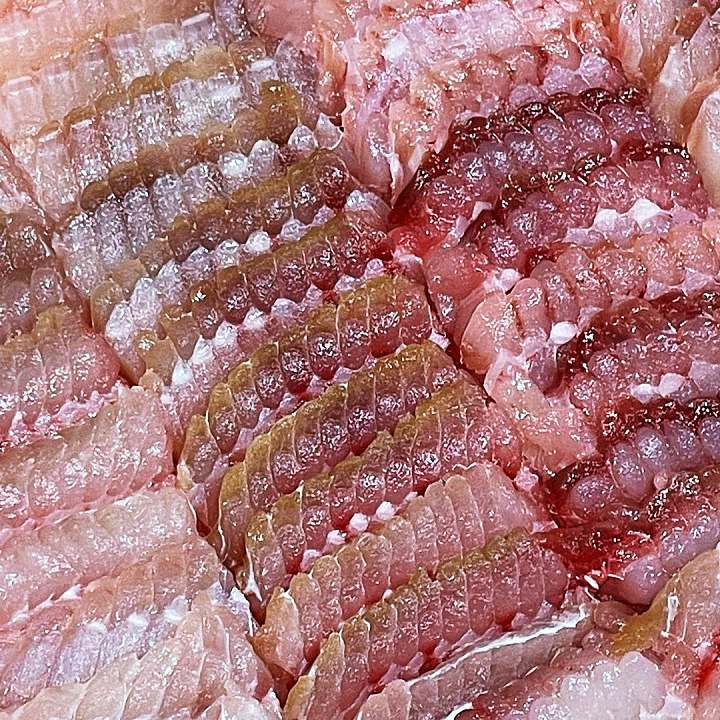 생생정보마당 홍어 전남 목포 맛집 위치 가격