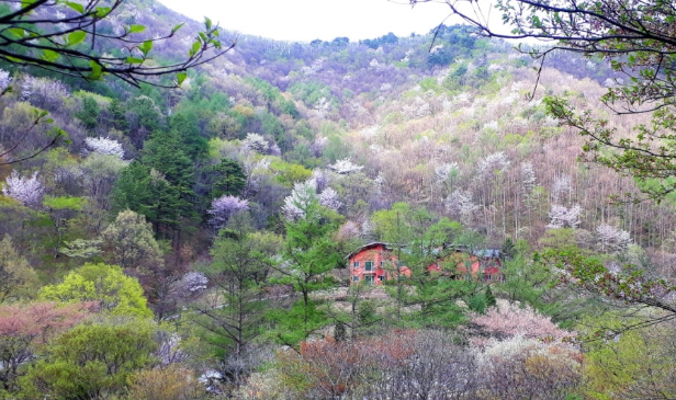 국립자연휴양림