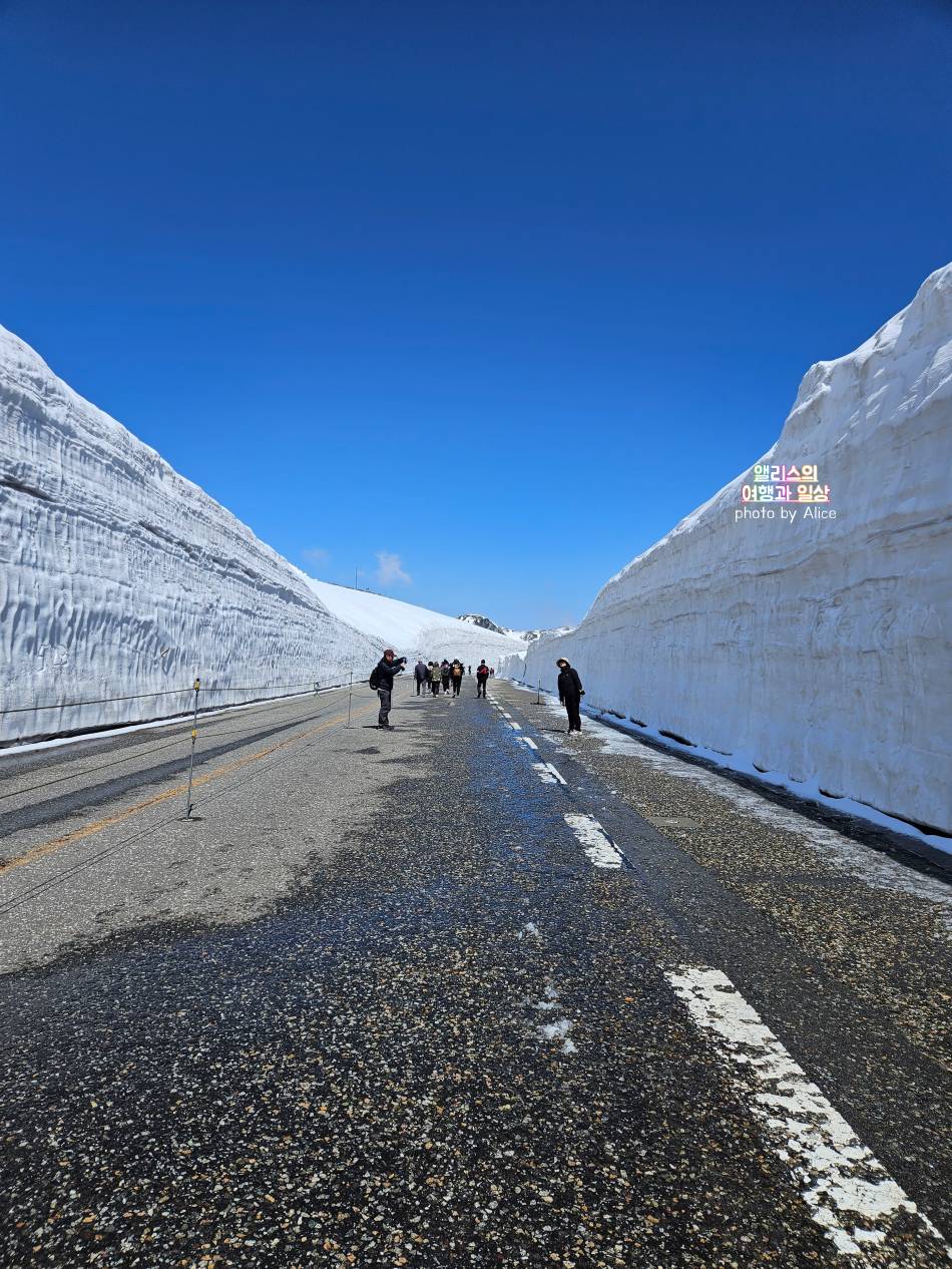 도야마 직행, 알펜루트 자유여행 준비방법, 후기 - 진짜 좋은데 넘나 추움!