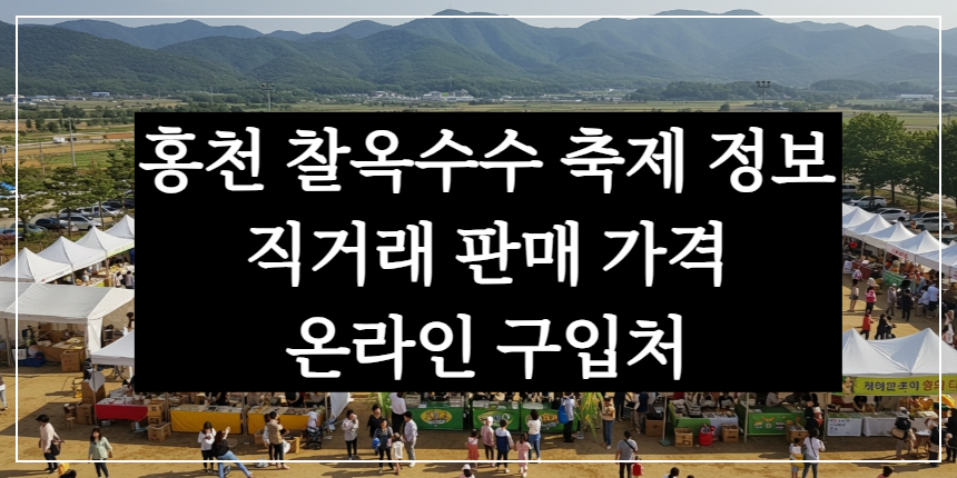 홍천 찰옥수수 축제 정보, 직거래 판매 가격, 온라인 구입처