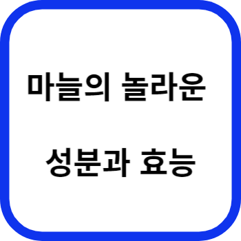 마늘의 놀라운 성분과 효능