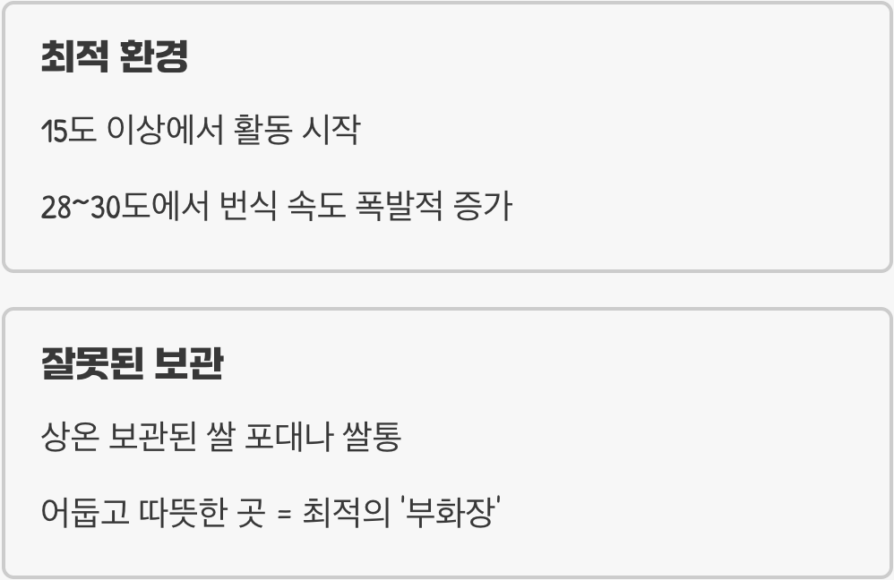 우리 집에 왜 생겼을까? (발생 원인)