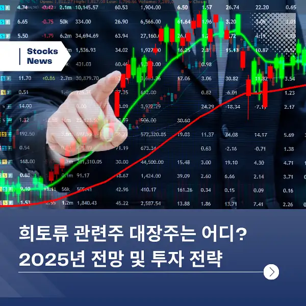 희토류 관련주 대장주