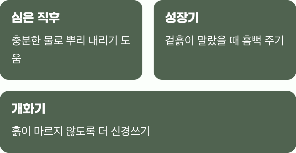 사랑과 물주기의 아슬아슬한 줄타기
