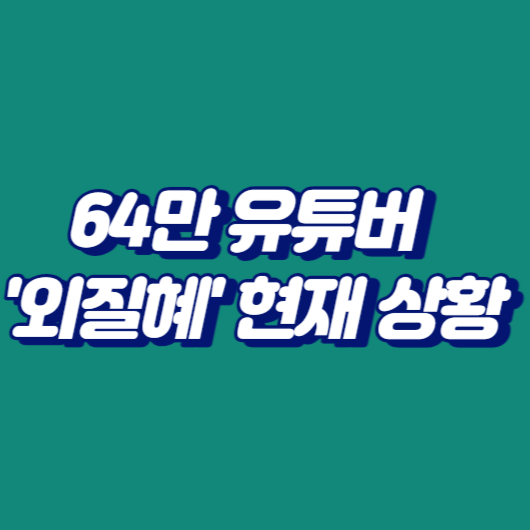 64만 유튜버 '외질혜' 현재 상황