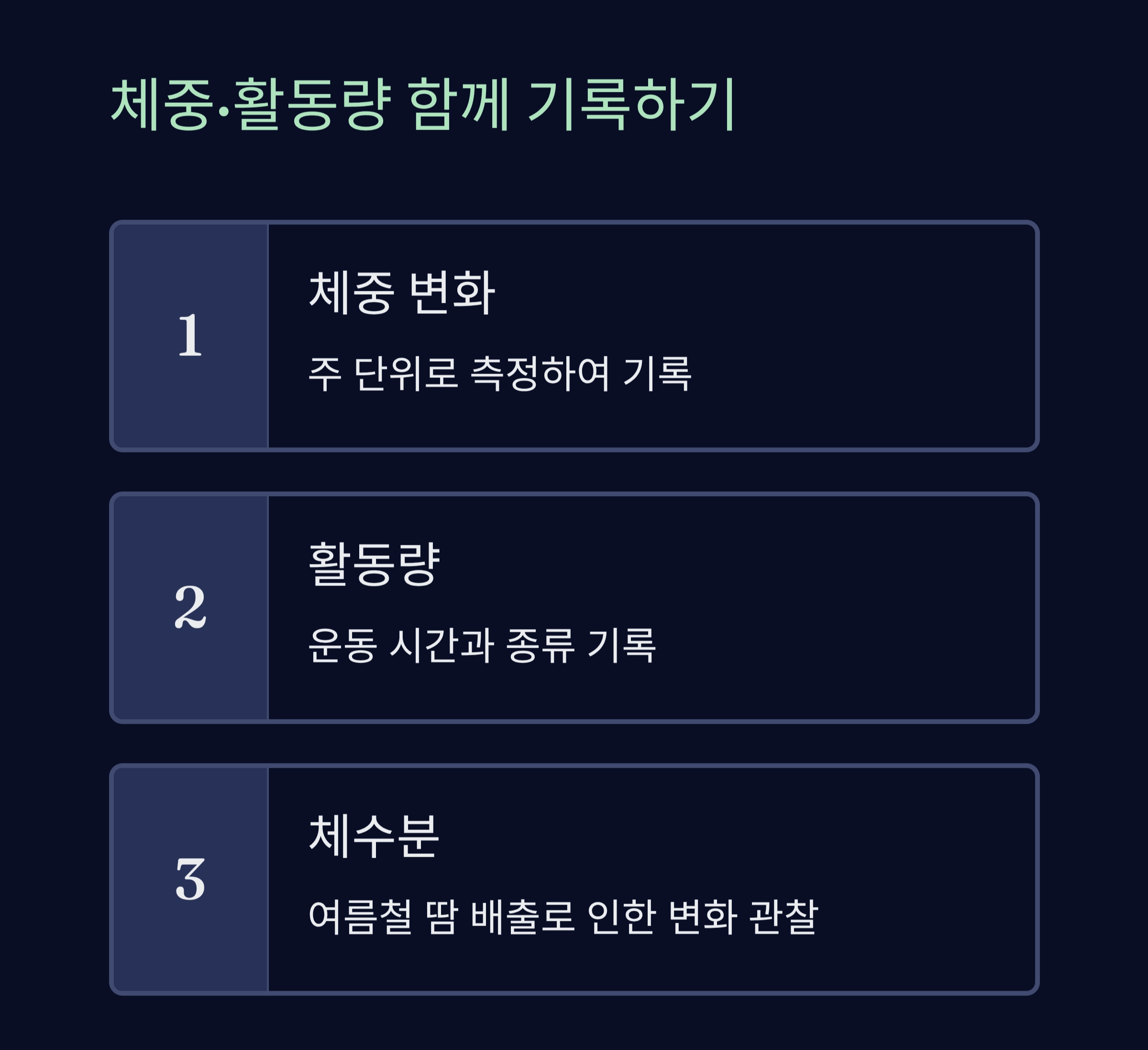여름철 건강 지키는 식단 기록 다이어리 활용법