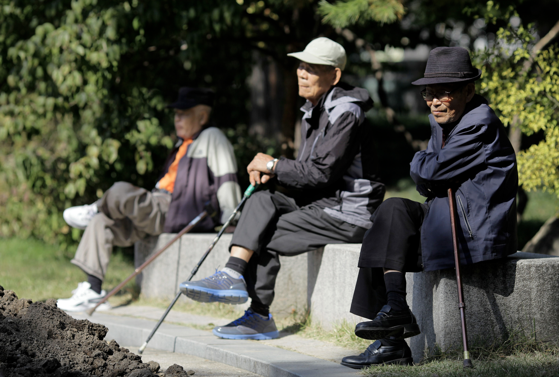 공원 벤치에 앉아 쉬는 어르신들