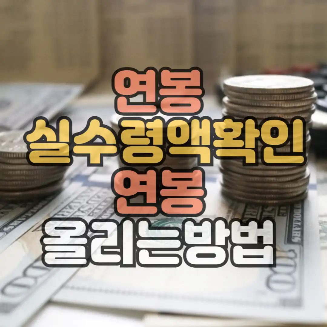 연봉실수령액확인