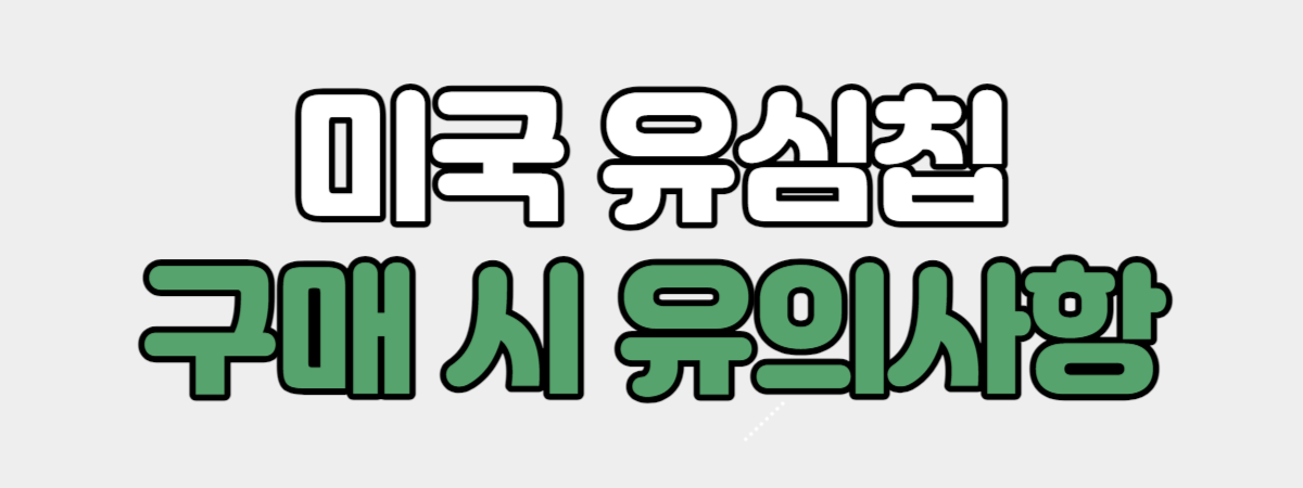미국 유심칩 구매 시 유의사항