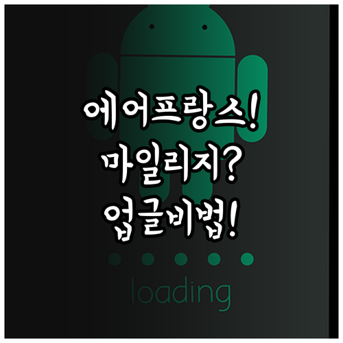 에어 프랑스 마일리지로 좌석 업그레이..