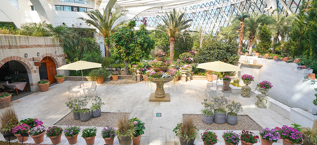 서울식물원 도심 속 이색 유리온실, 자연 힐링!