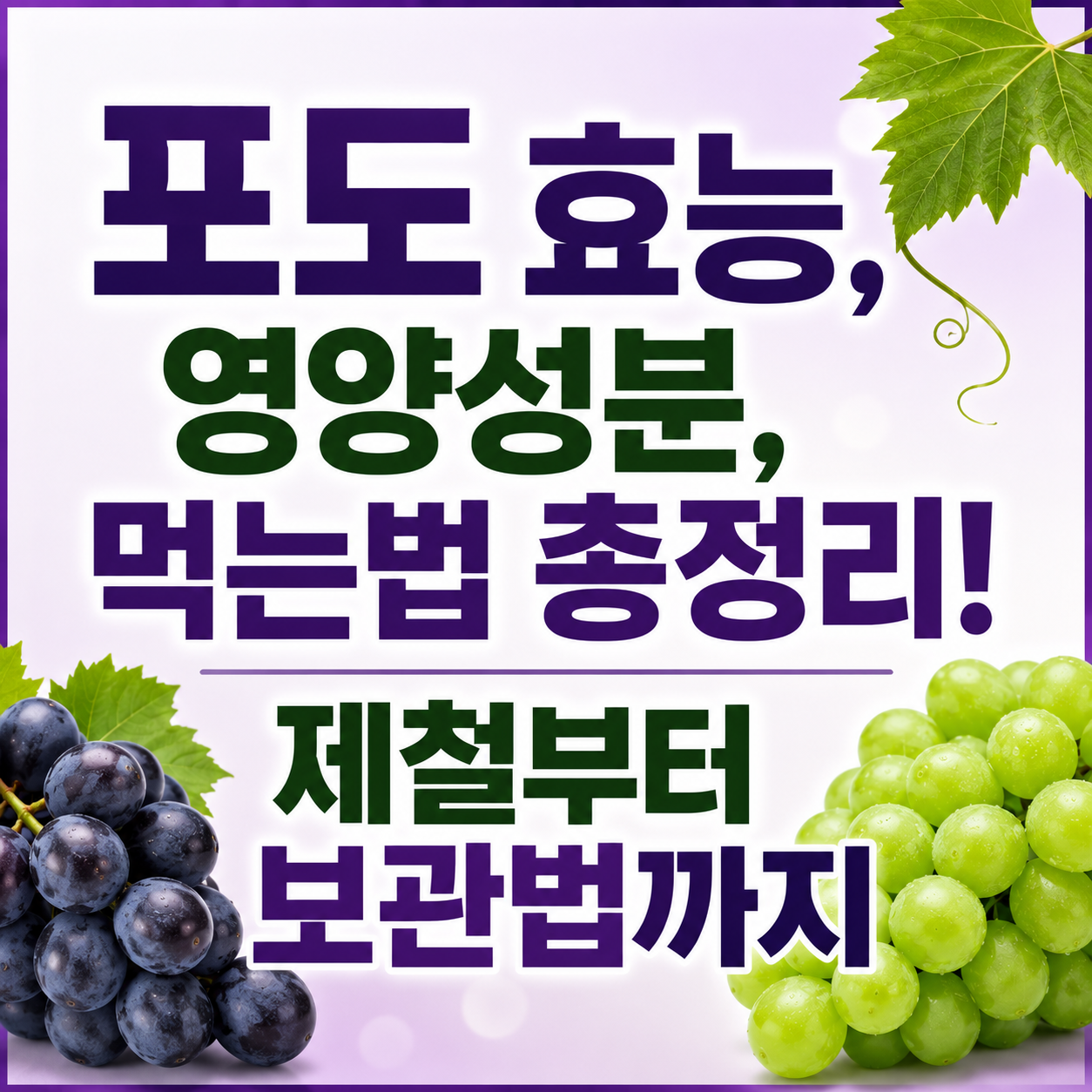 포도 효능