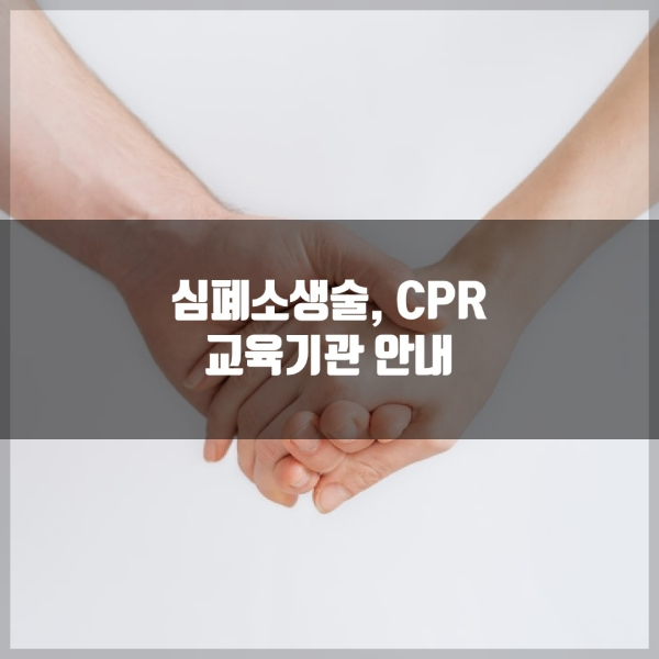 심폐소생술, CPR 교육기관 안내