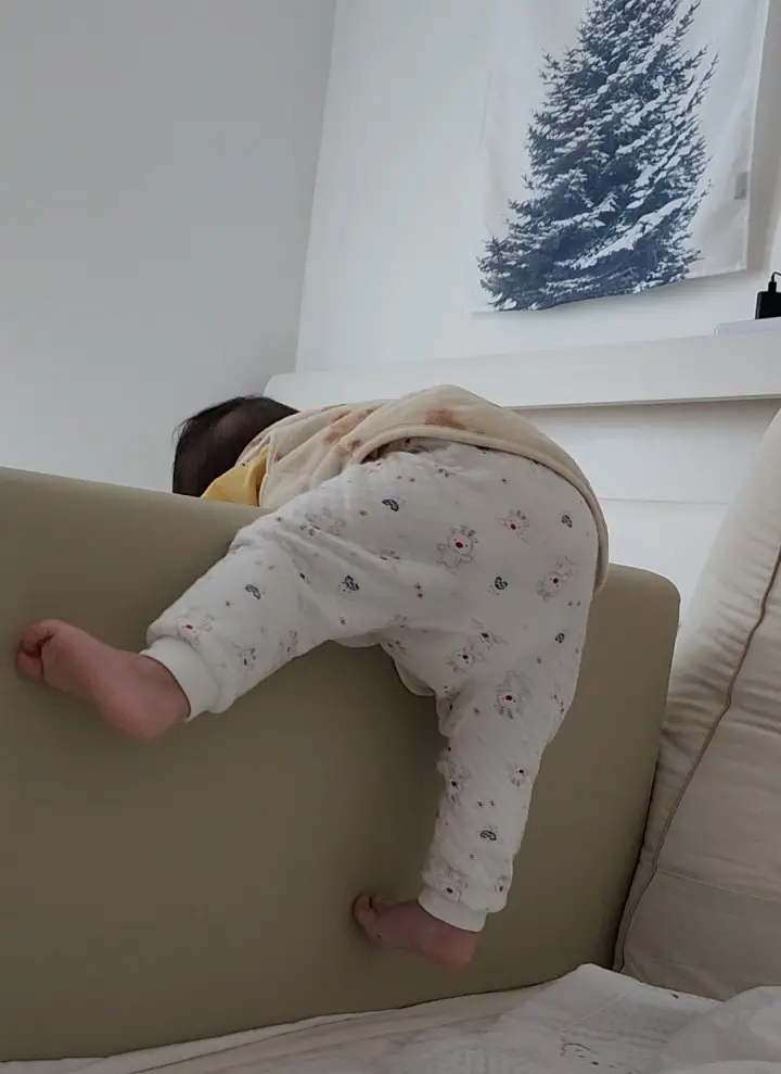 아기침대-데이베드-레이디가구-코쿤-가드넘는-아기