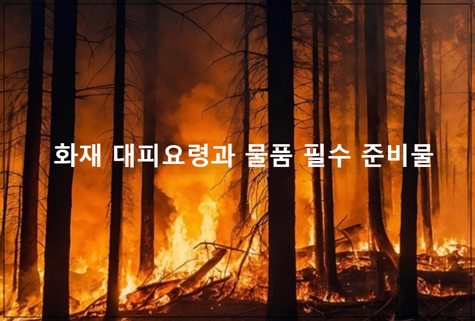 산불-사진