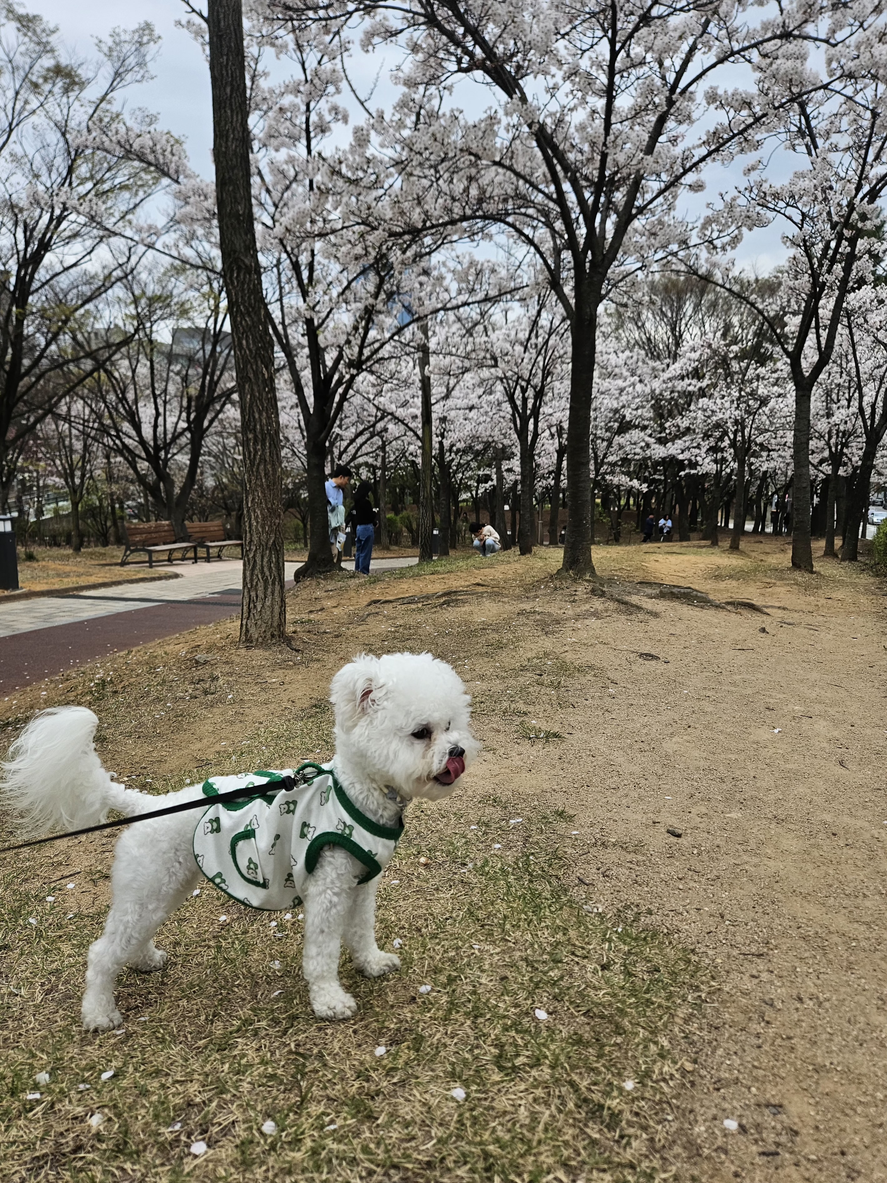 인천 구월동 데이트 코스 완벽 가이드: 맛집부터 감성 카페, 산책로까지 총정리