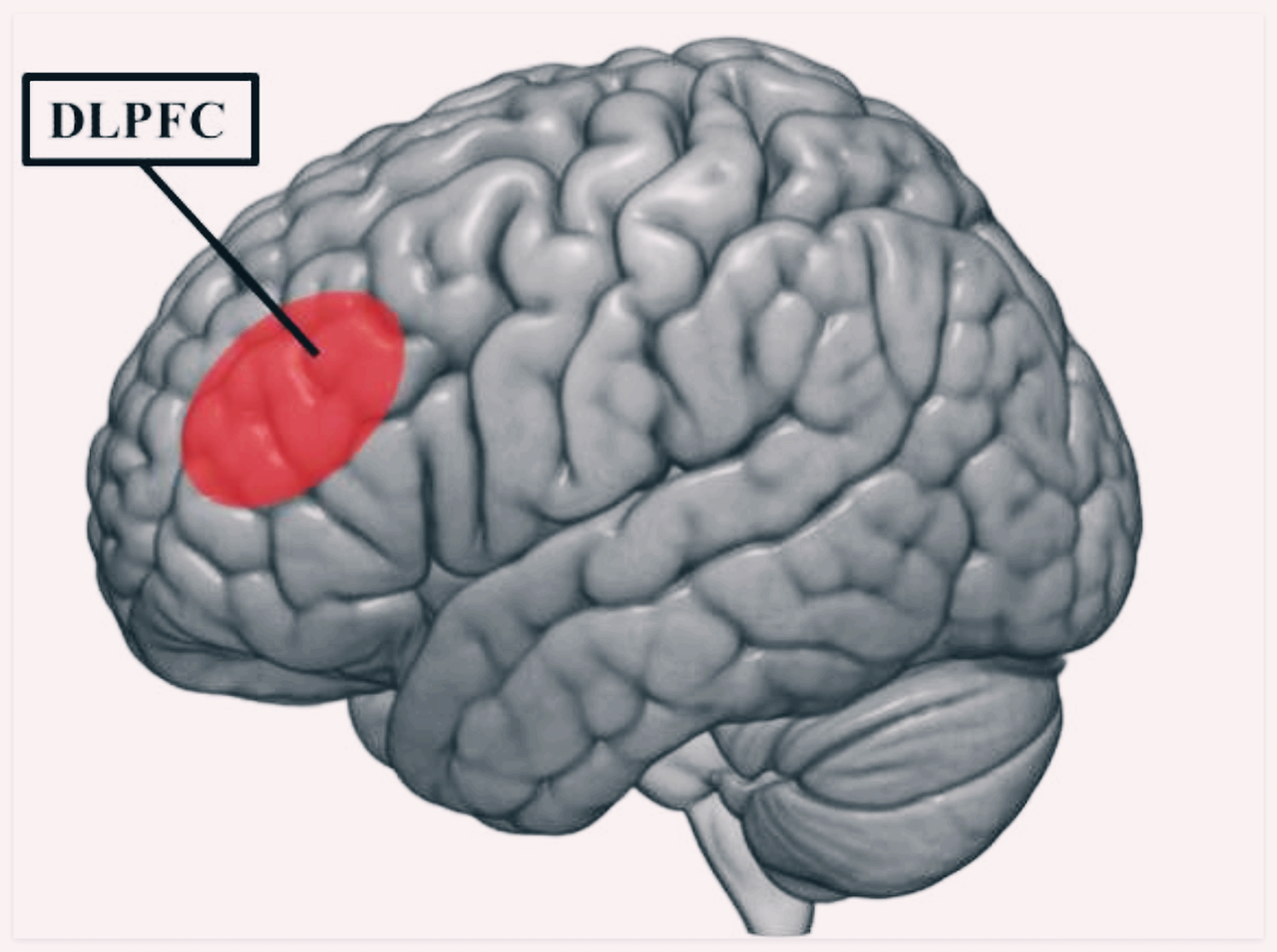 계열 위치 효과4