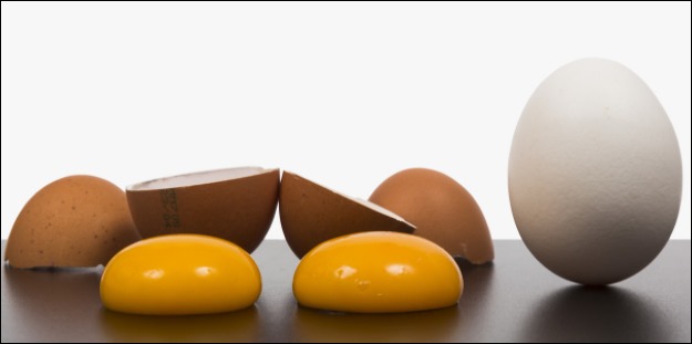 당뇨에 좋은 음식 -8