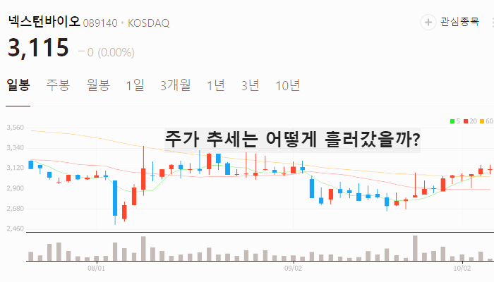 위고비 관련주 대장주 테마주 수혜주 TOP7