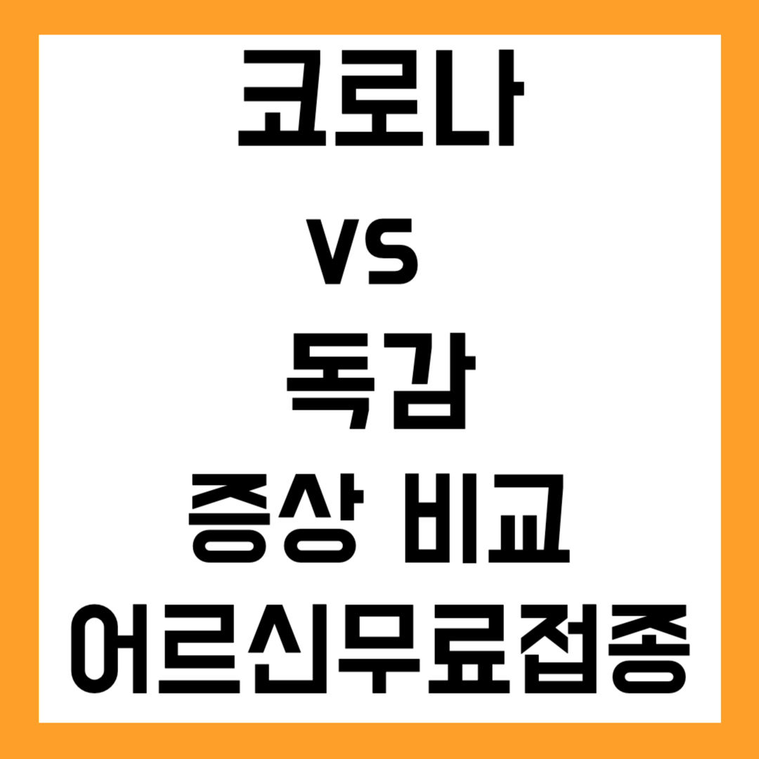 코로나 vs 🤧 독감 증상 비교 + 2025년 무료 코로나 접종 시기