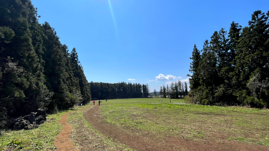 비밀의 숲 목초지