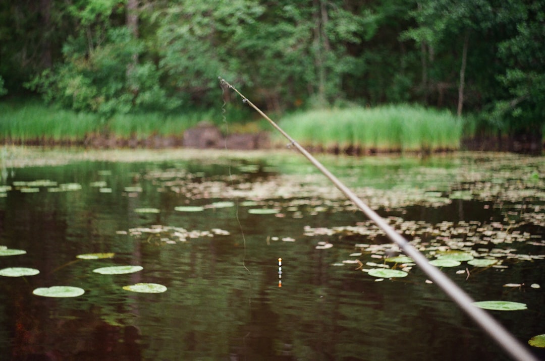Angler