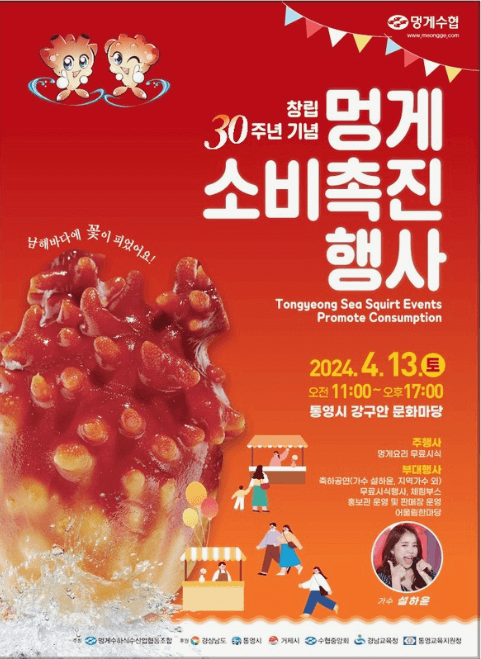 멍게 제철 손질법