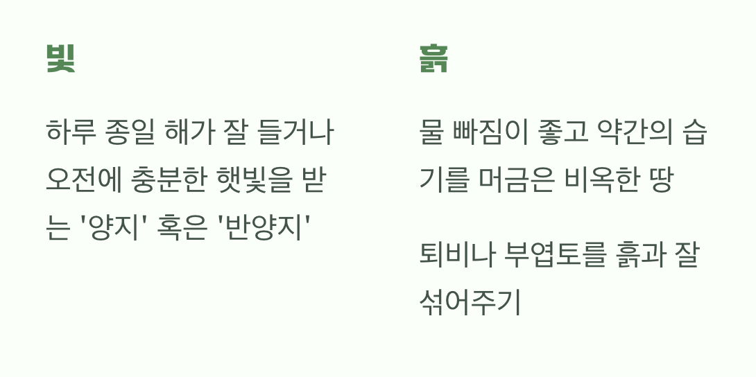 귀공자가 좋아하는 자리 (햇빛과 흙)