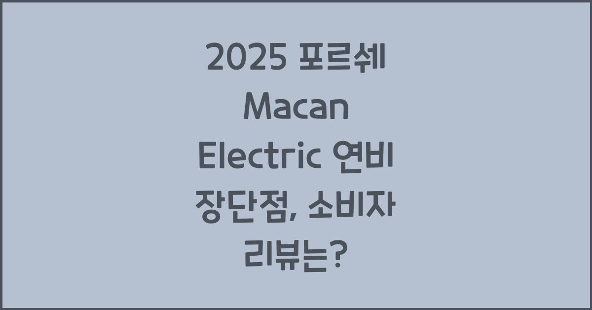 2025 포르쉐 Macan Electric 연비 장단점
