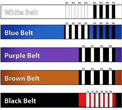 주짓수 벨트 순서