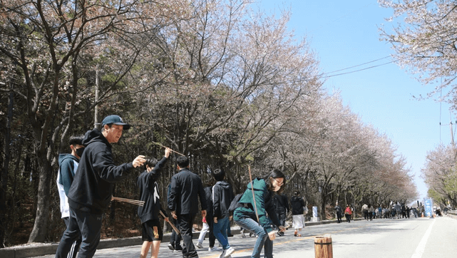 벚꽃 축제 일정