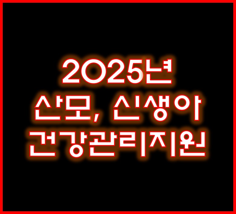 산모 신생아 건강관리 지원