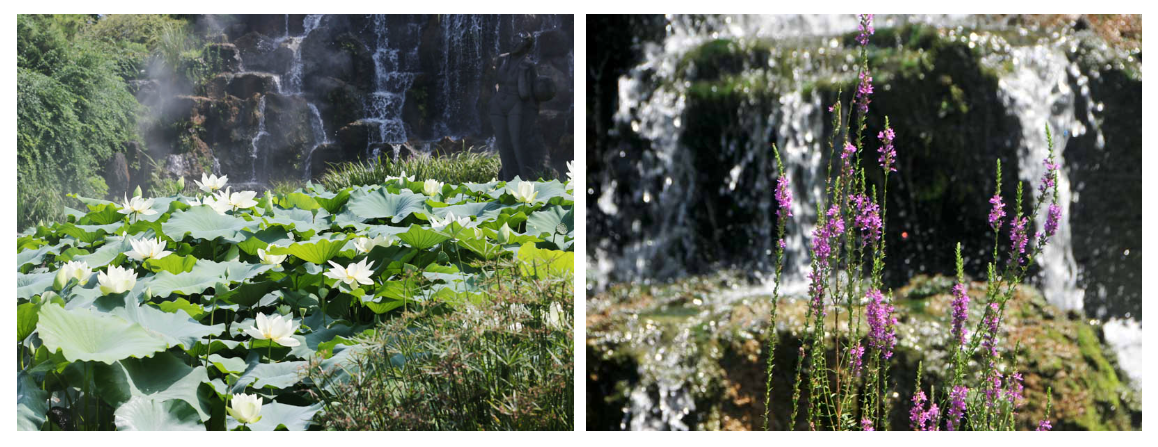 2024년 8월 제주도 축제(가볼만한곳)