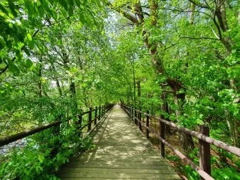 걷기좋은 숲길 50 서울 전남 경북_12