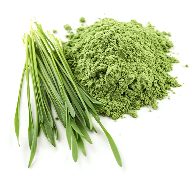 보리순의 효능과 영양 성분