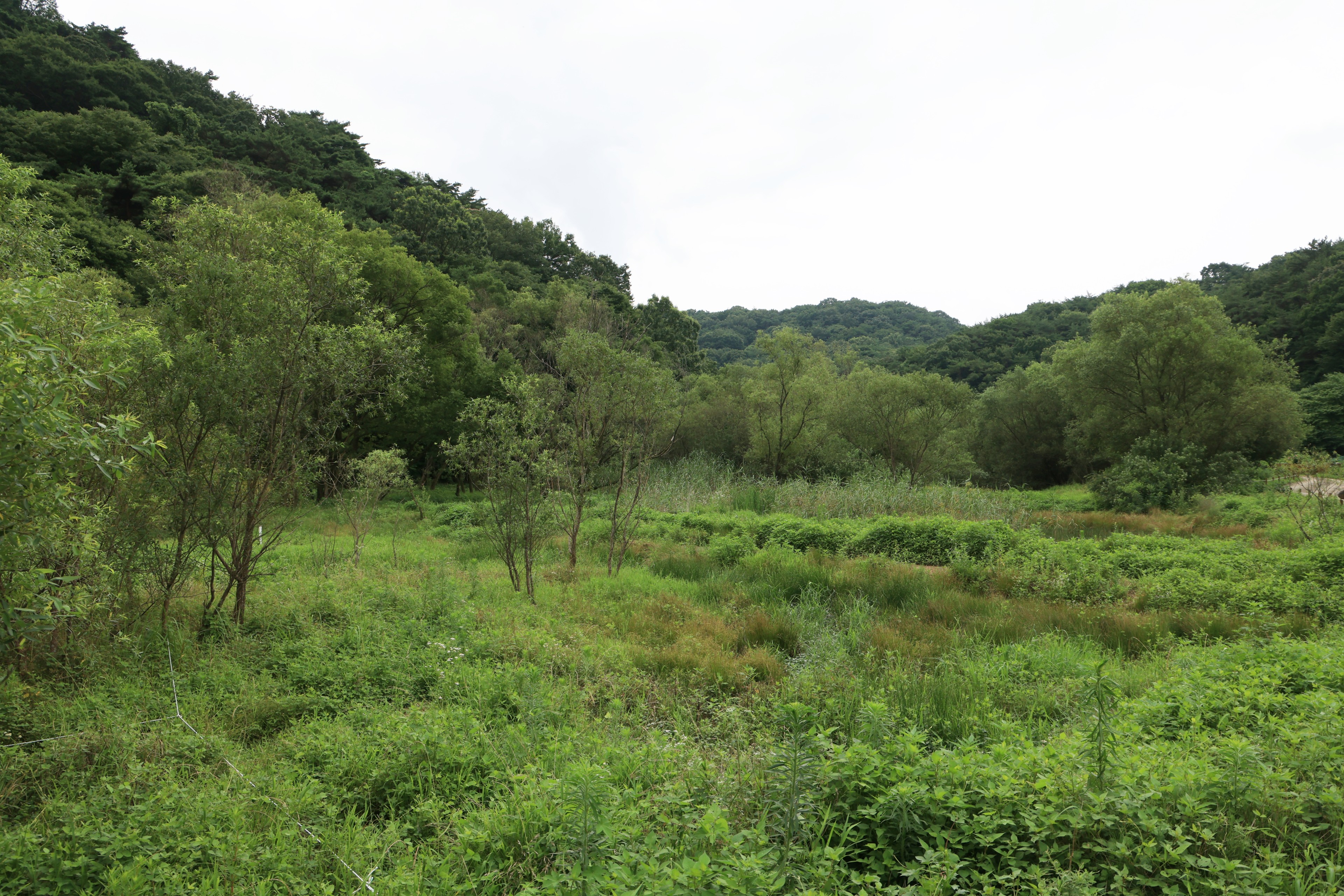 환경 보전의 소중함을 느끼다. 북구청 주관, 평두메습지 1주년 기념 풍성한 체험마당 초대.