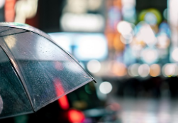 2025년 장마기간 지역별 일정과 강수량 기온 특성 총정리