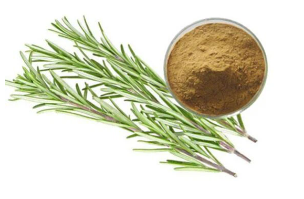 로즈마리추출물