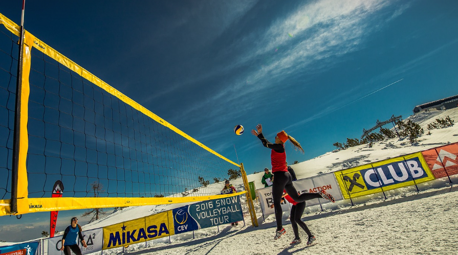 배구 팀 구성 방식