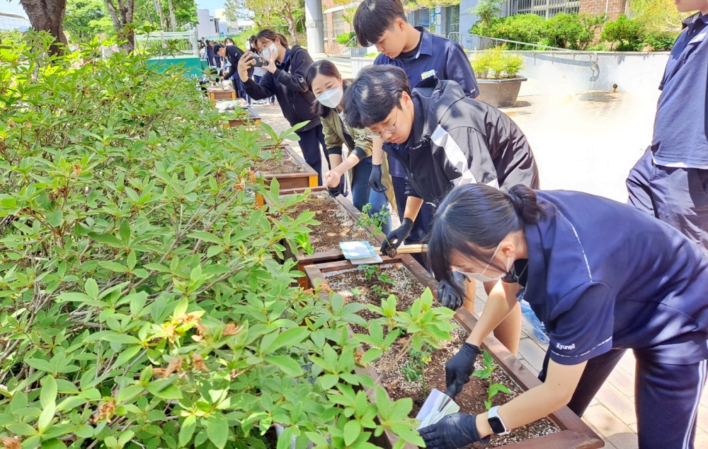 경일중 환경전환교육 &lsquo;학급 텃밭 운영 활동&rsquo;